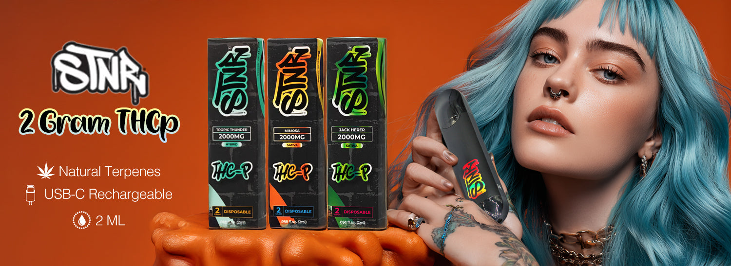 stnr banner