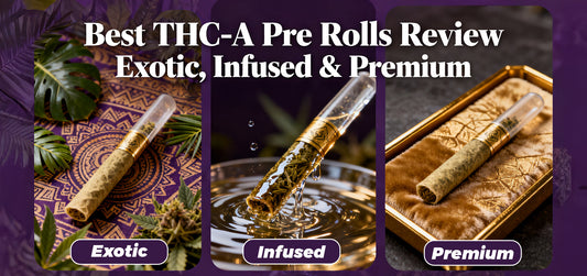 best thca pre rolls review exotic infused premium