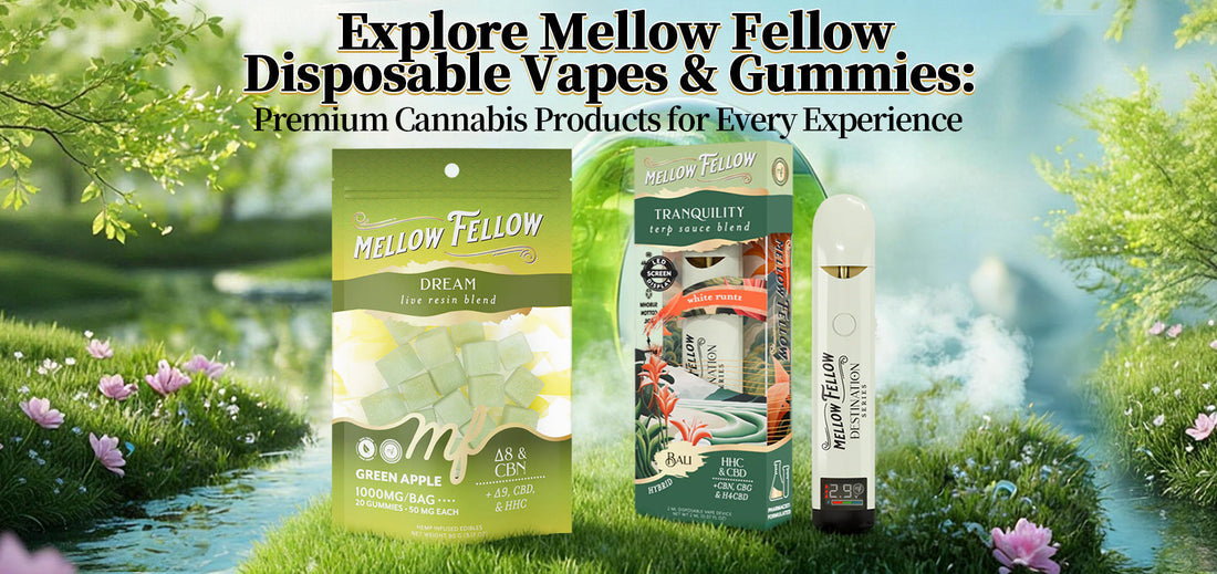 explore mellow fellow disposable vapes and gummies