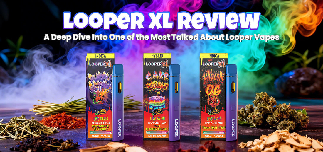 Looper XL Review: A Standout in Looper Vapes True Hemp Store Looper XL Review: A Standout in Looper Vapes True Hemp Store
