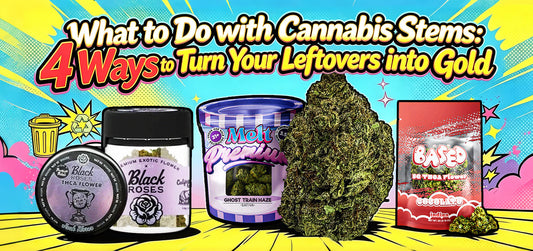 what to do with cannabis stems 4 ways to turn your leftovers into gold