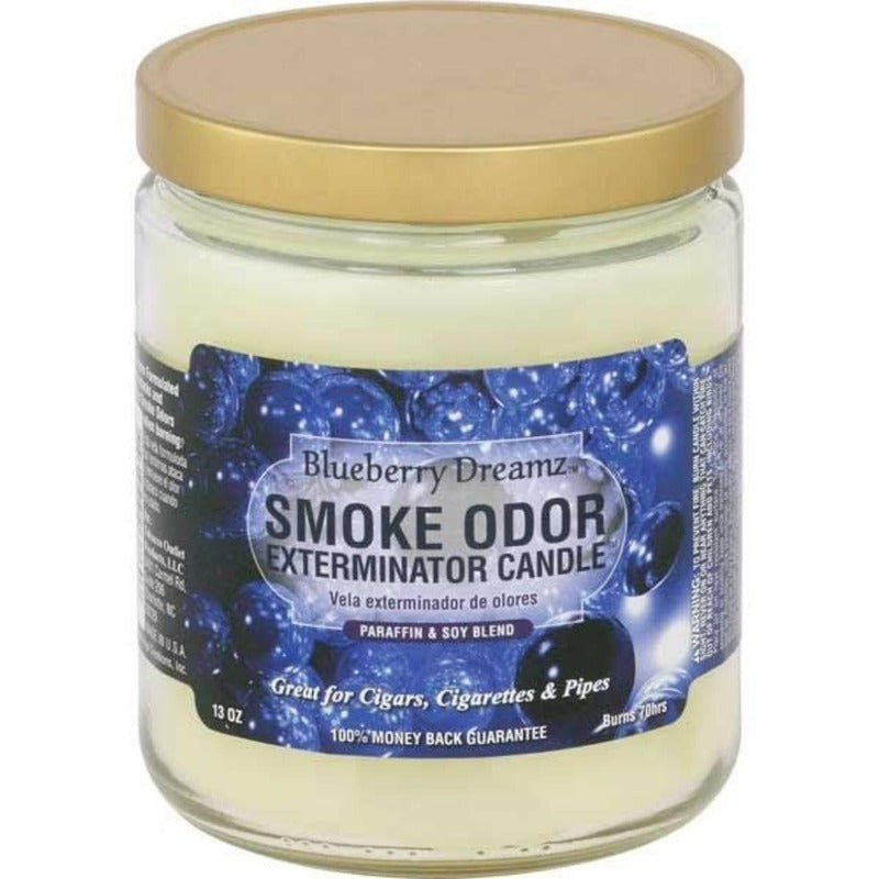 blueberry dreamz smoke odor 13oz candle