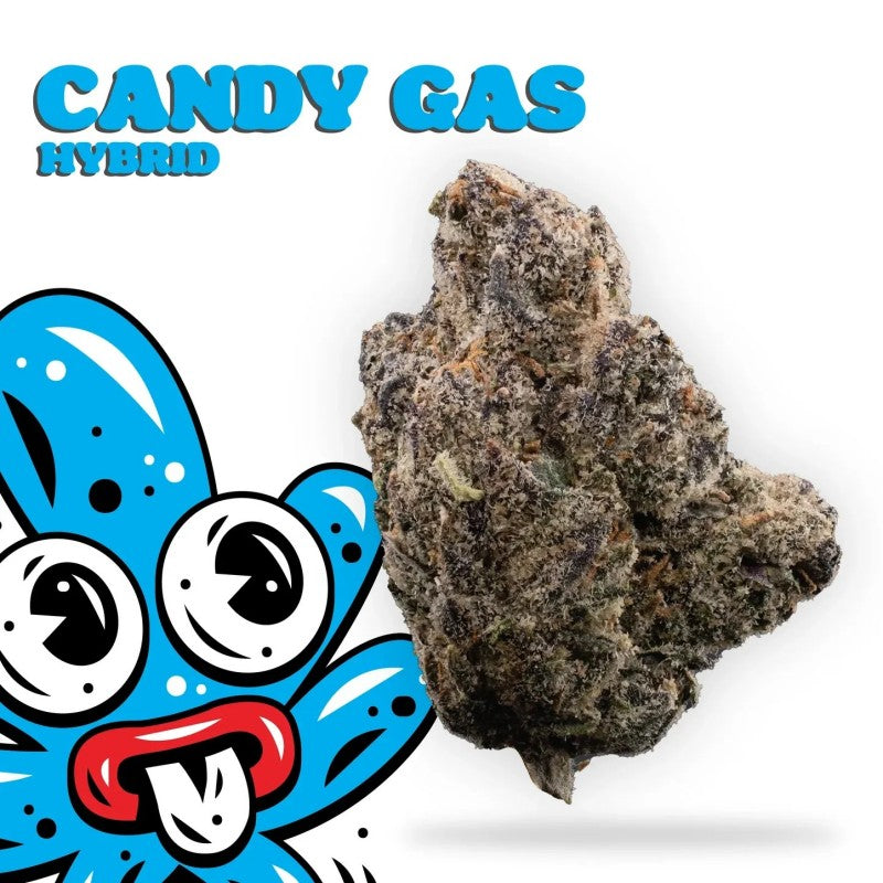 candygas flower big high exotic flower