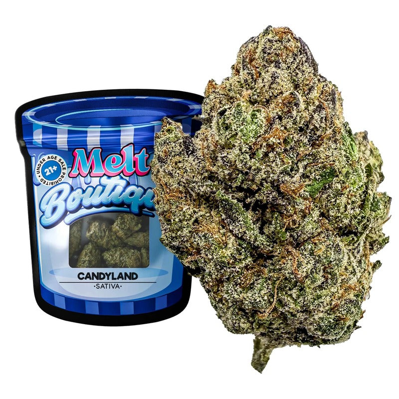 candyland melt boutique thca flower