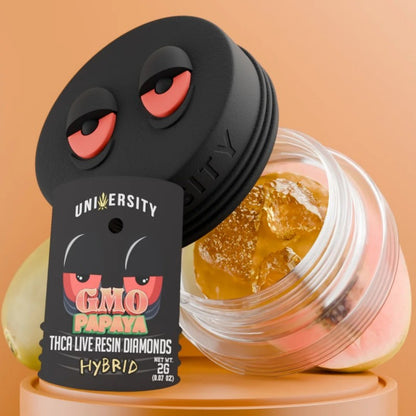 gmo papaya university live resin thca dab