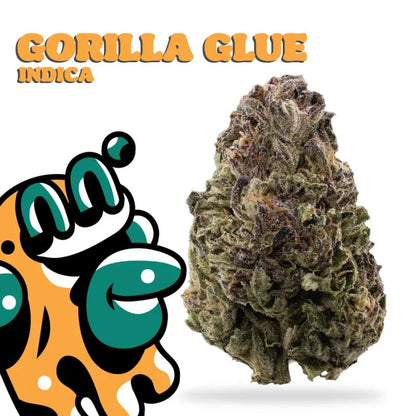 gorilla glue flower big high thca premium flower