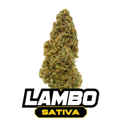 lambo sativa king palm thca pre roll 1g